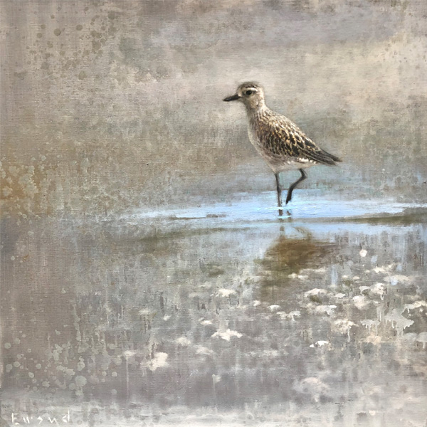 Ewoud-plover-09-12-2020