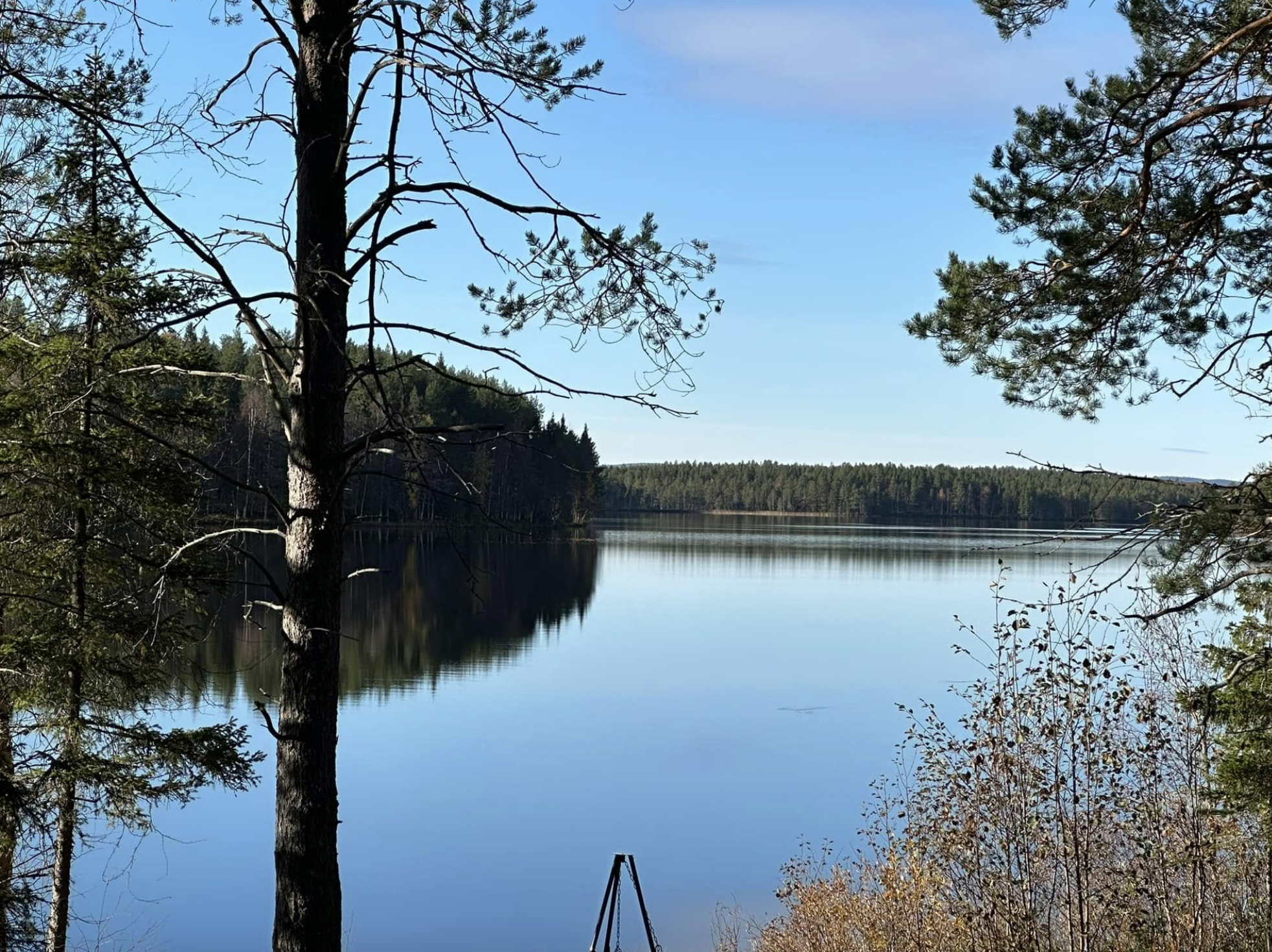 Meer en bomen