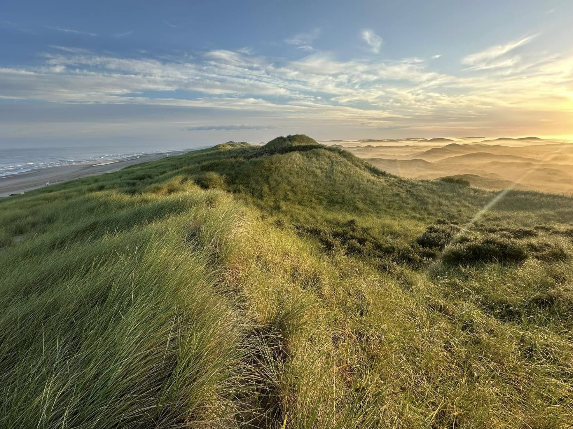 Duinen
