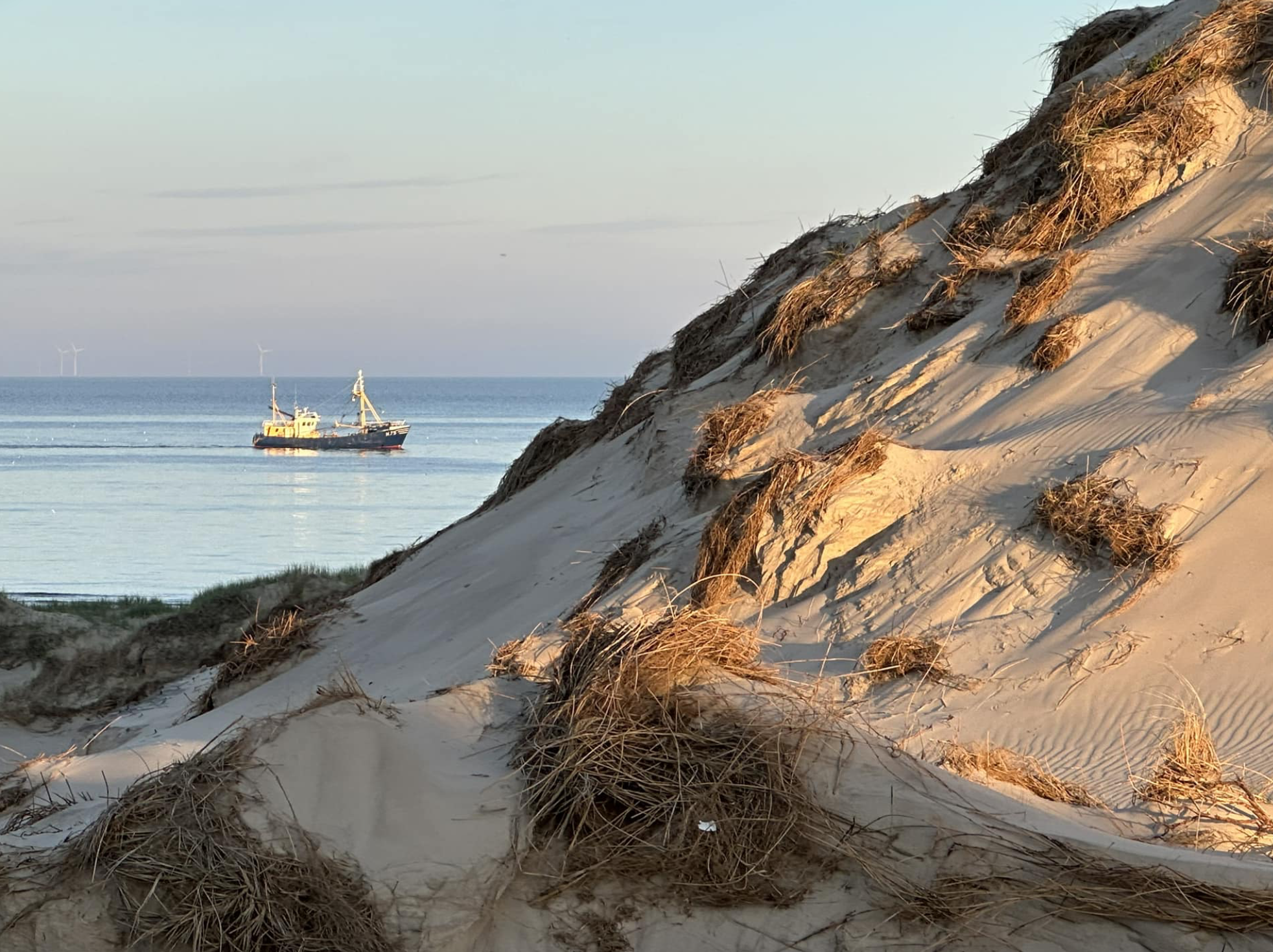 Duinen en zee