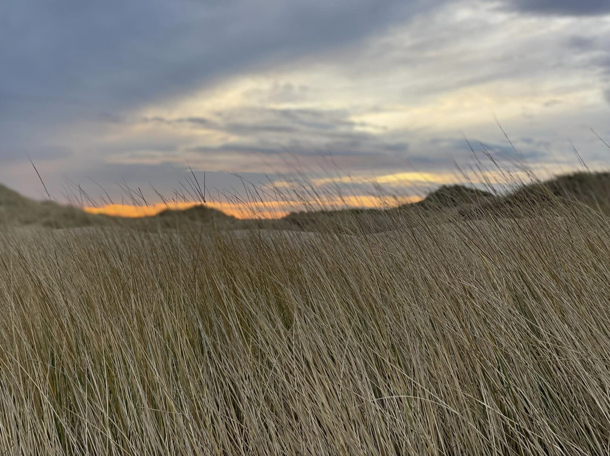 Duinen