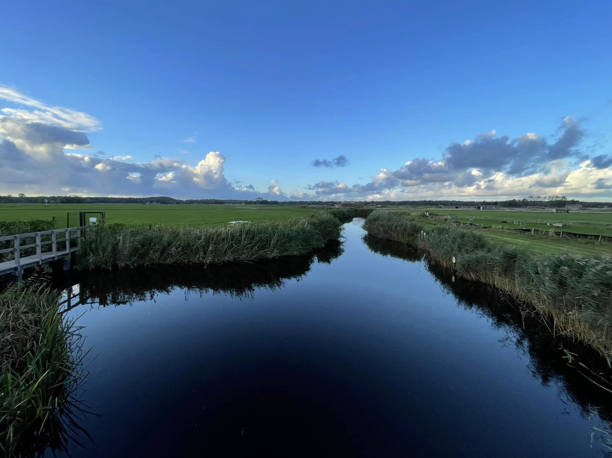 Water en weide